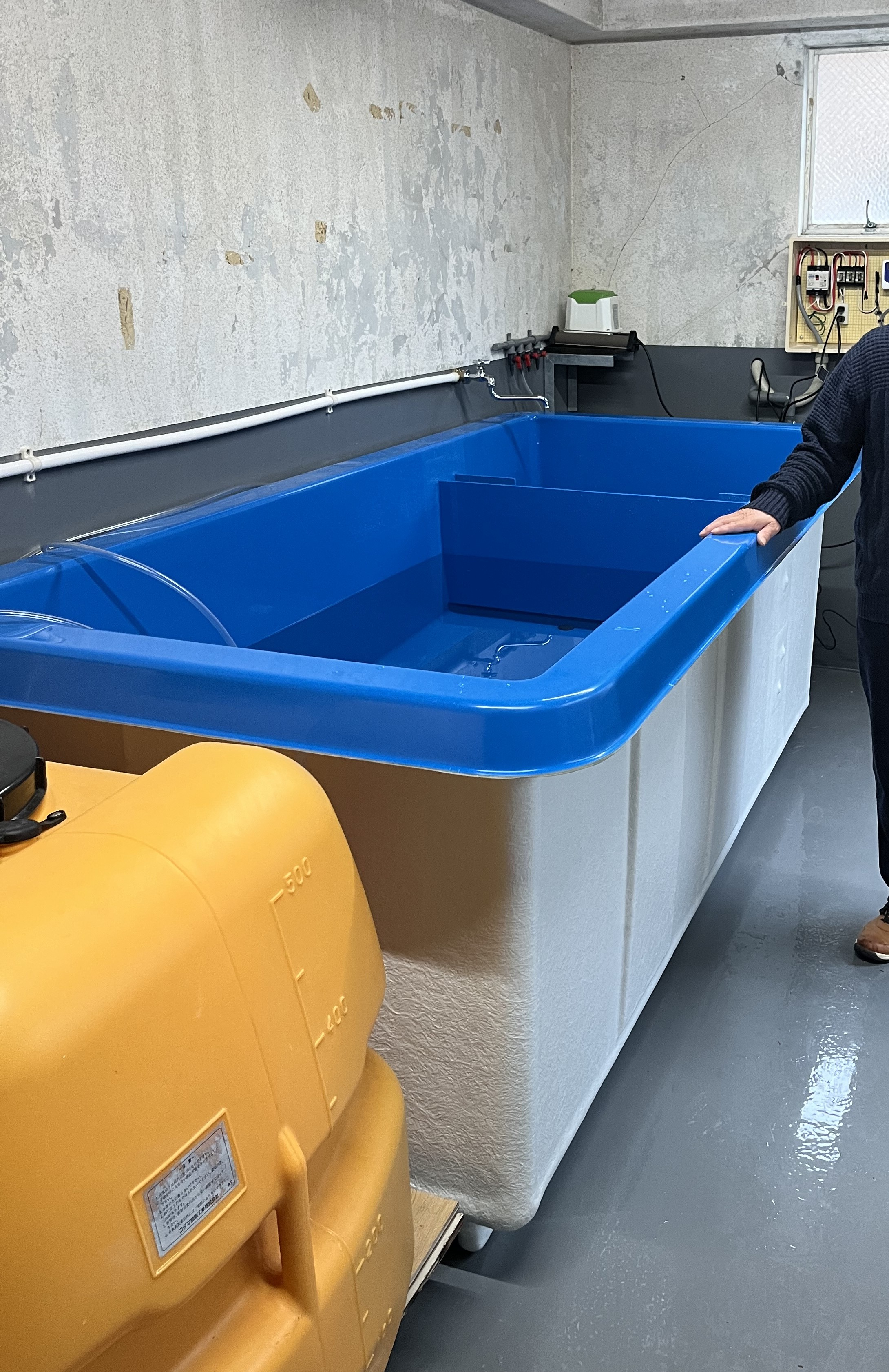 水産物加工業者の事例写真（導入した水槽）